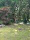 Modernisiertes EFH mit Traumgarten in Waldrandlage auf der Unner - Garten1