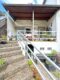 Modernisiertes EFH mit Traumgarten in Waldrandlage auf der Unner - Treppe zum Garten
