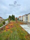 Wohn- und Geschäftshaus, 410m² Gesamtfläche in ruhiger Seitenstraße von Saarbrücken-West - Dachbegrünung Anbau