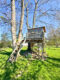 Freistehendes saniertes Familienparadies, mit Bauplatz in toller Lage von Riegelsberg - Baumhaus