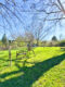Freistehendes saniertes Familienparadies, mit Bauplatz in toller Lage von Riegelsberg - Schaukel