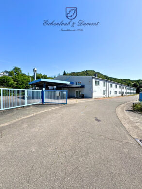 Industriehallen + Freiflächen mit Top-Anbindung für Logistik, etc., 66346 Püttlingen, Halle