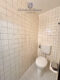 Wohnung/Büro mit eigenem Eingang in Spitzen-Lage auf dem Rotenbühl - Toilette